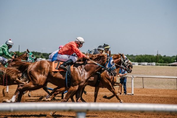 Specifying Horses and Races
